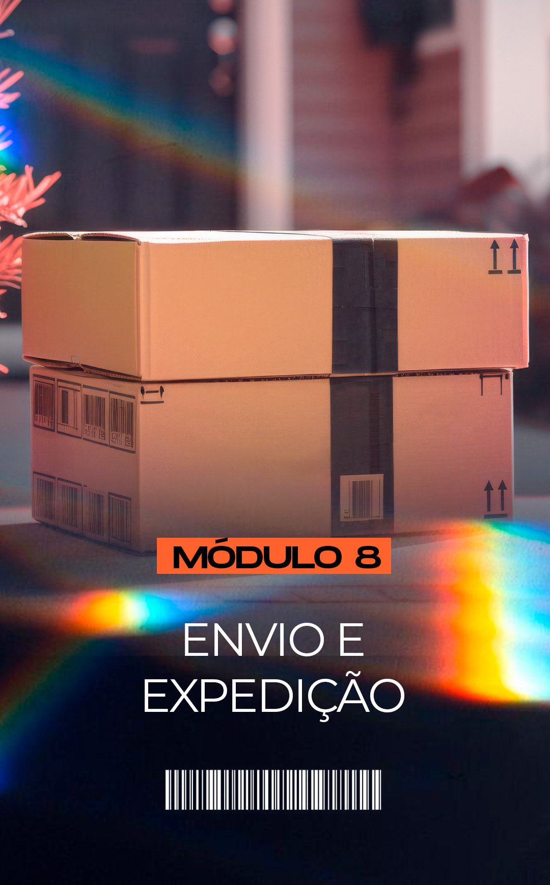 08